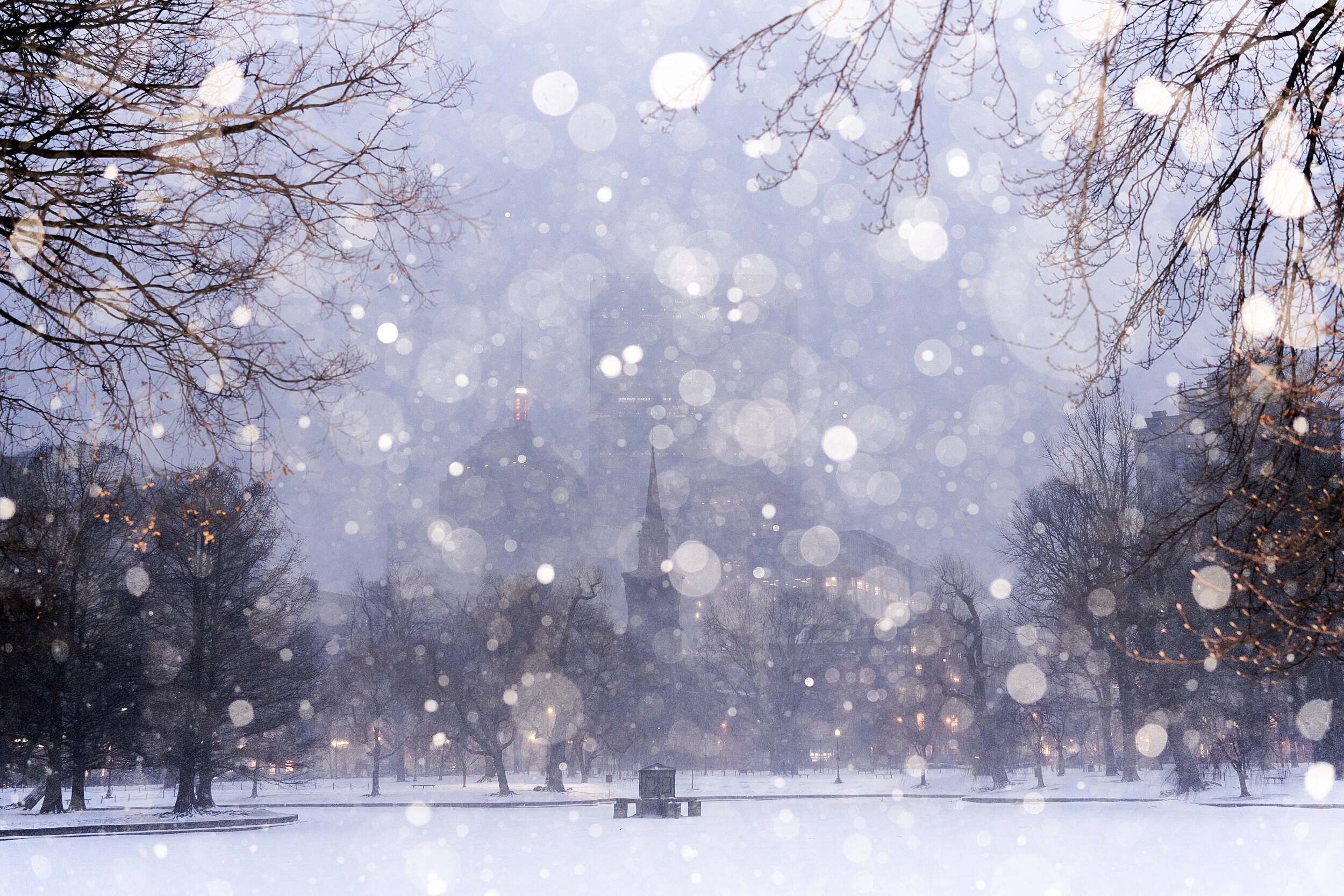 Early morning snow in Boston Common (public garden)