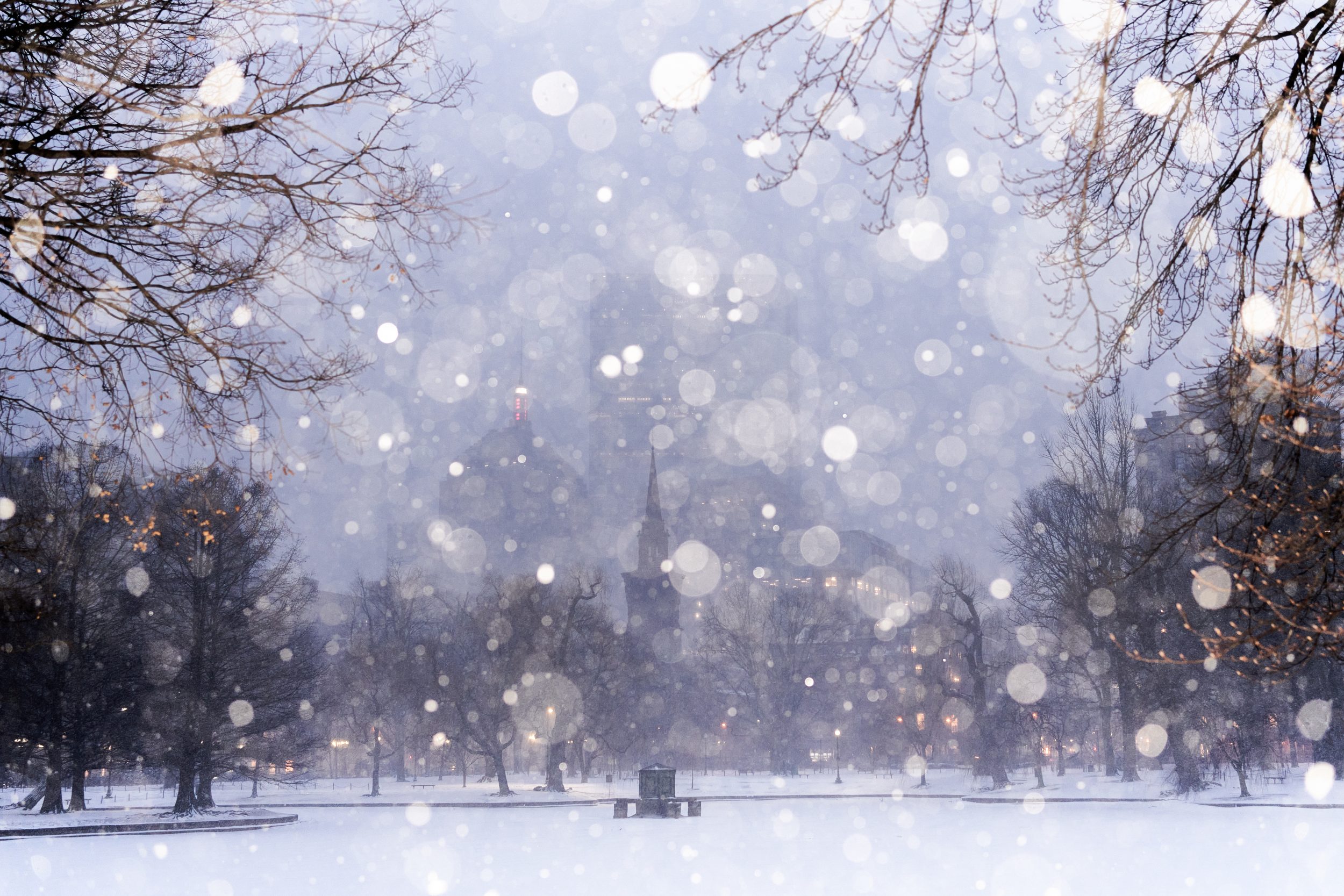 Early morning snow in Boston Common (public garden)
