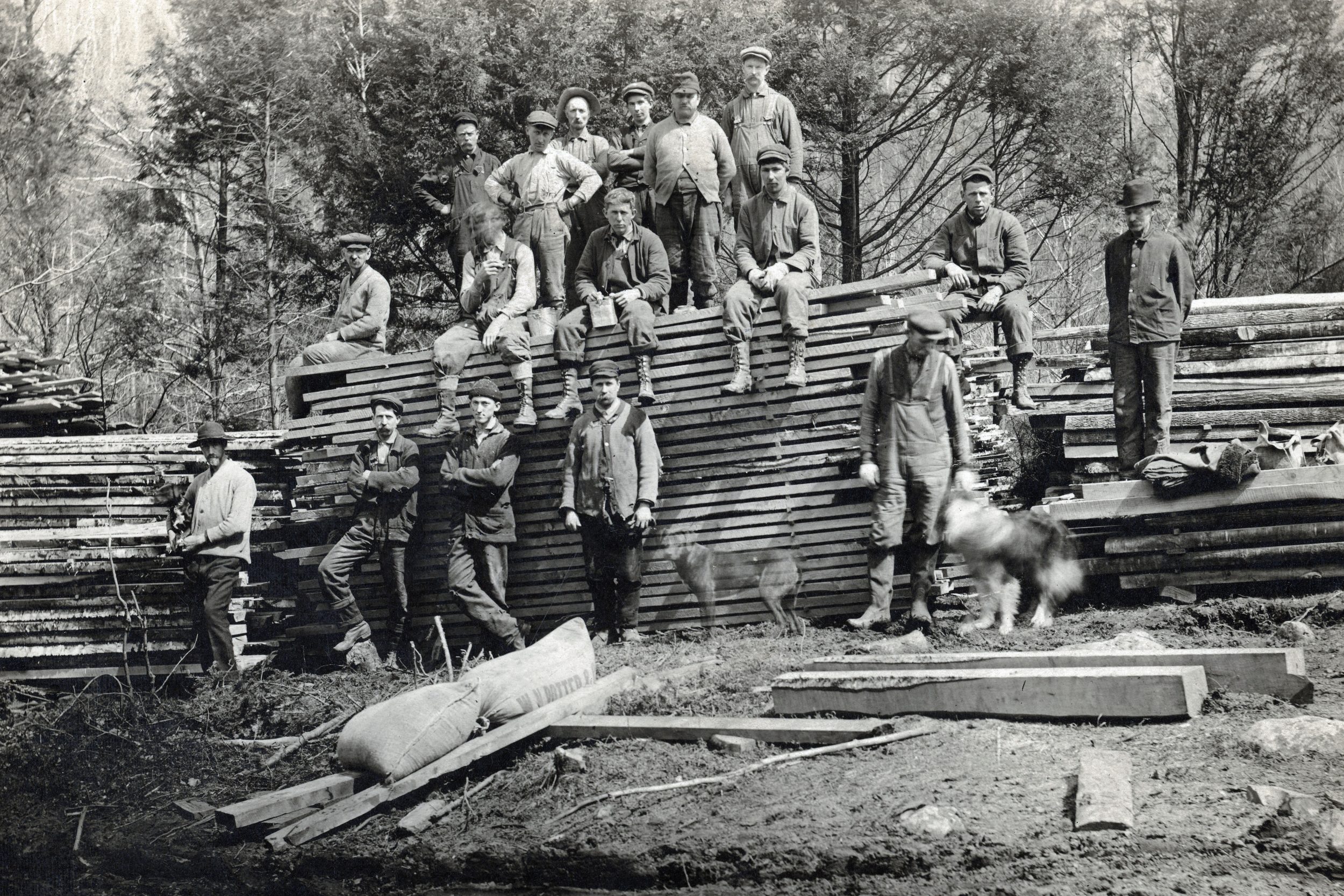 The back of one of these photographs reads - "From a group of photographs taken in 1912 to illustrate an article on Industry in New England". It does not say what the publication was. Then "This was the gang that ran the steam powered sawmill owned by Will Brown. When this picture was taken (1912) the mill was set up in the west part of Rowe. This picture shows it required many more men when crosscut saws, axes and horses were used than it now does with chainsaws, log skidders and other modern equipment." -Rowe Historical Society