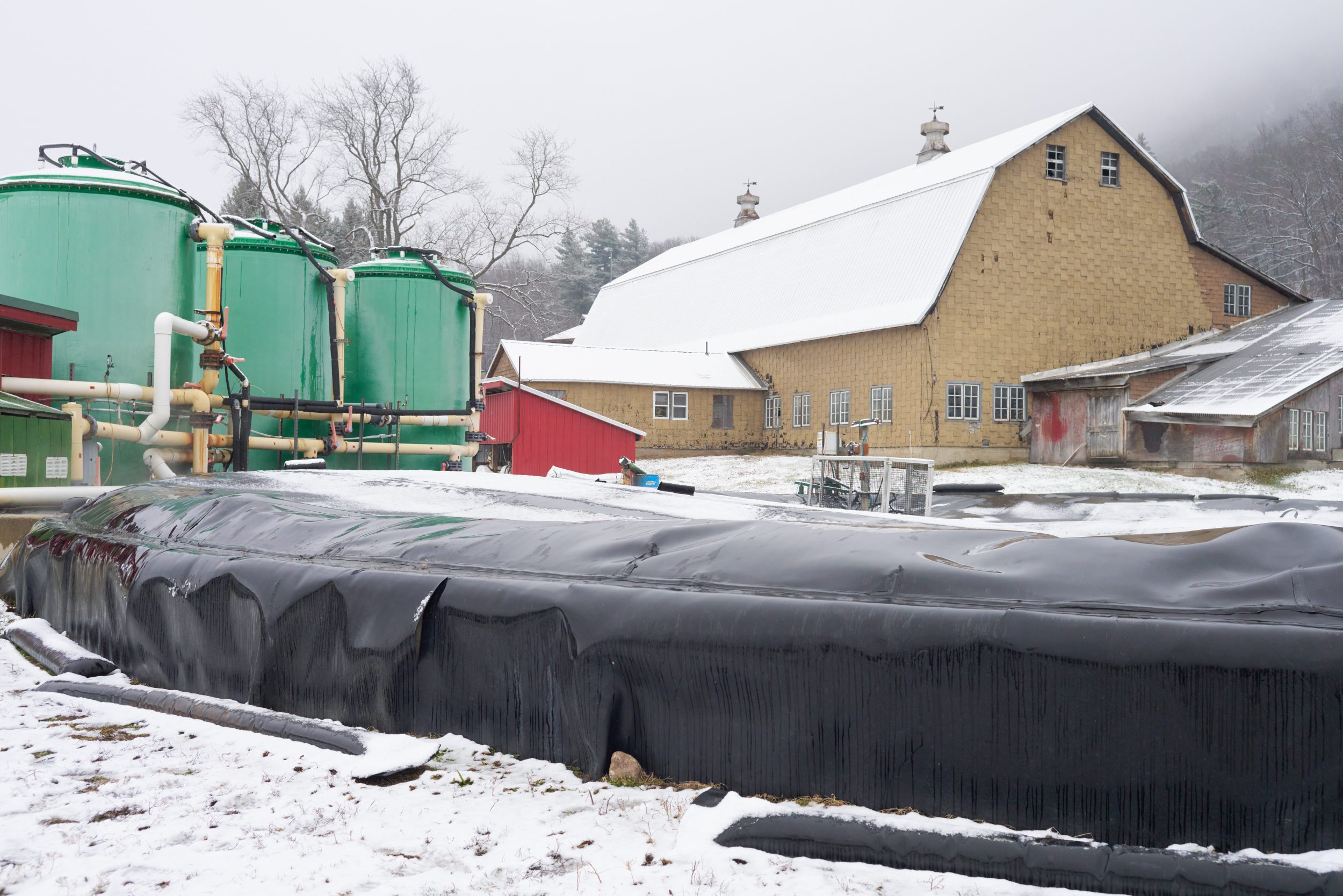 An early version of, in ground digester is covered in black in front of the dairy barn at Barstow’s Longview Farm.