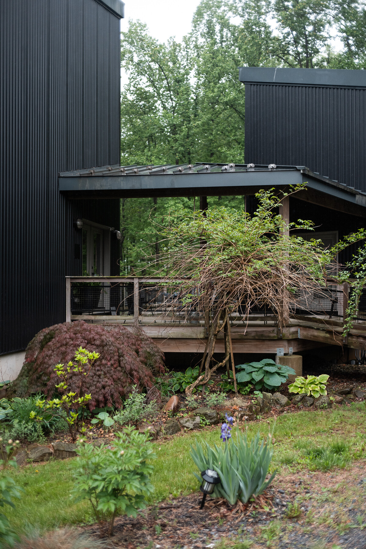 A dark studio building with a deck and planted garden.
