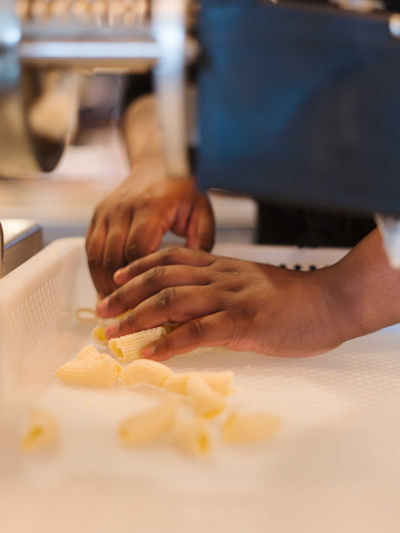 Hands gather fresh pasta in a tray beneath the extruder.